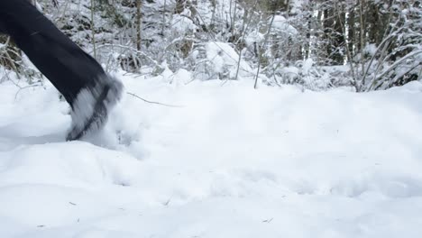 Vista-A-Nivel-Del-Suelo-De-La-Persona-Que-Corre-Con-Botas-De-Invierno-En-El-Bosque-Con-Nieve-Espesa