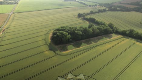 Intrincado-Diseño-De-Círculos-De-Cultivo-En-Tierras-Agrícolas,-Vista-Aérea-De-Gran-ángulo