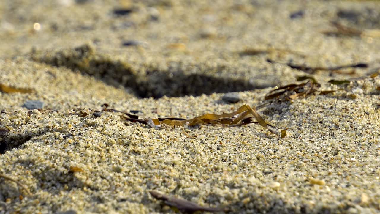 piedras de playa tropicales, olas y mar