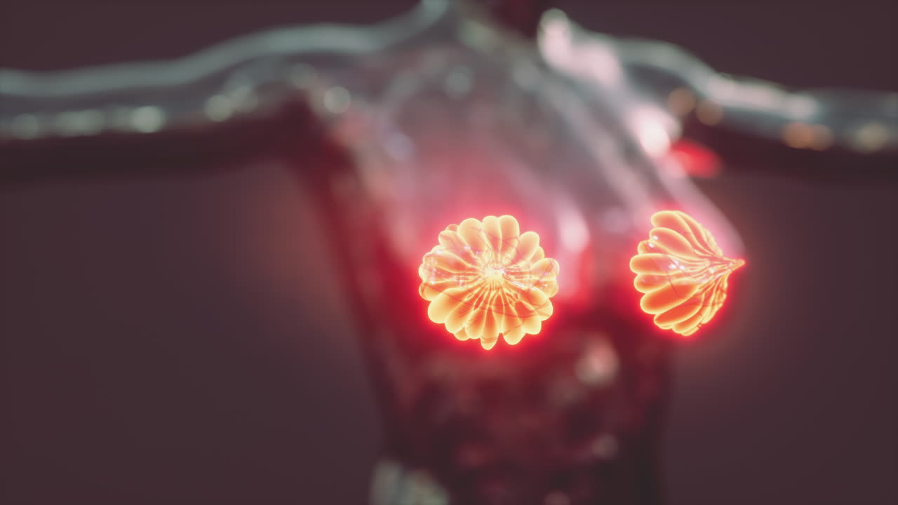 빛나는 유방선과 함께 인간 몸의 과학 해부학