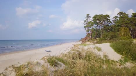 revealing aerial view of baltic sea coast on a sunny day, white sand seashore dunes damaged by waves, pine tree forest, coastal erosion, climate changes, wide angle drone shot moving forward