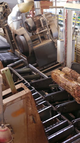 forest product industries. sawmill. process of machining logs in a machine, heavy industry equipment. closeup. view from the top. wood industry facilities. vertical video