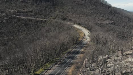 Forward-tracking-aerial-shot-with-slow-left-pan