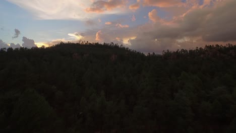 aerial shot of the forest of the basaseachi national park at sunset in the candamena canyon, chihuahua