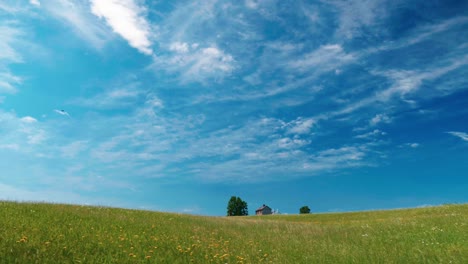 Haus-Mitten-Im-Feld