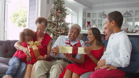 children give christmas gift to grandparents shot on r3d