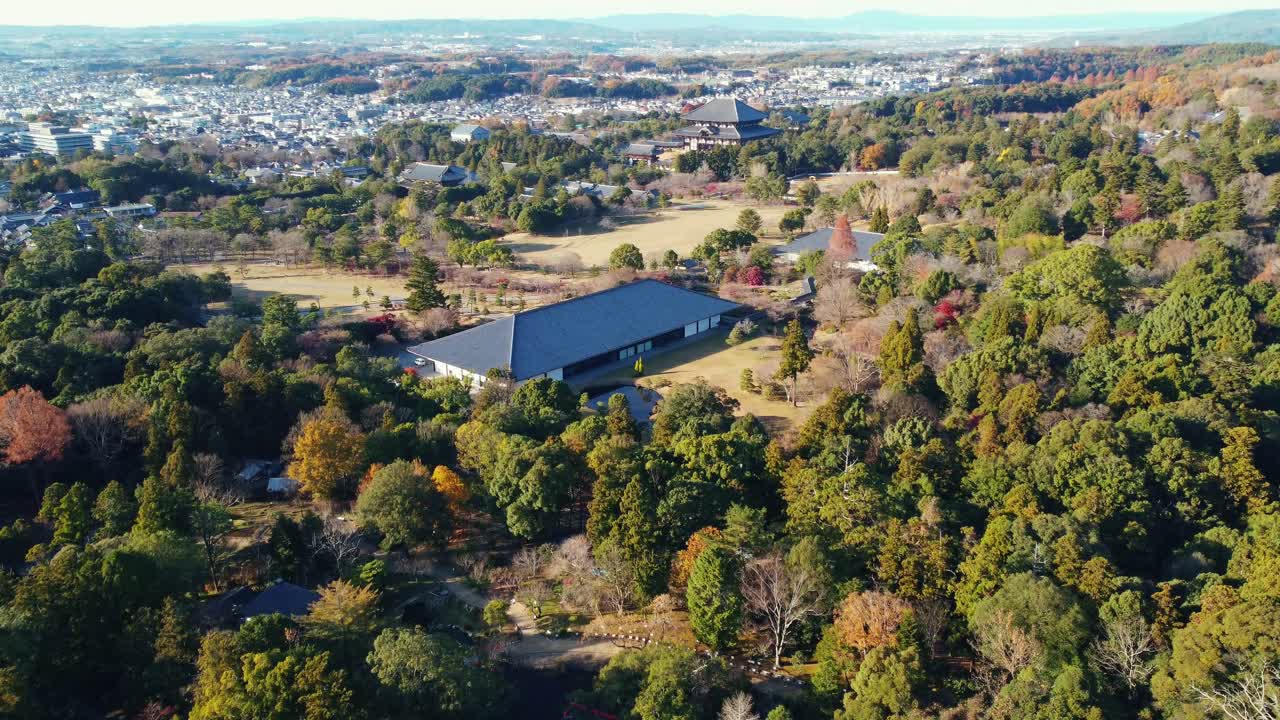 일본 나라에 있는 큰 일본 사원인 토다지 사원을 바라보는 드론