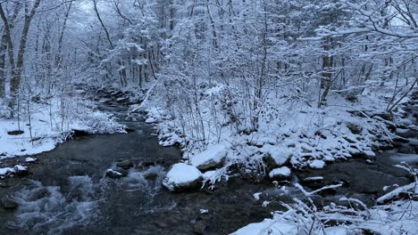 Impresionantes-Imágenes-De-Un-Arroyo-Nevado-En-Un-Paraíso-Invernal