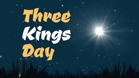 animation of three kings day text over shooting star and fir trees at night