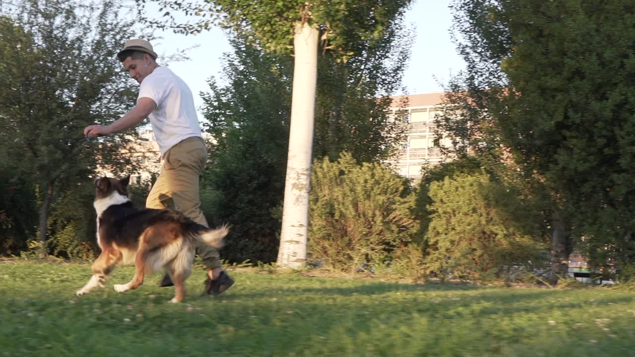 Border Collie dog running next to his owner, slow motion