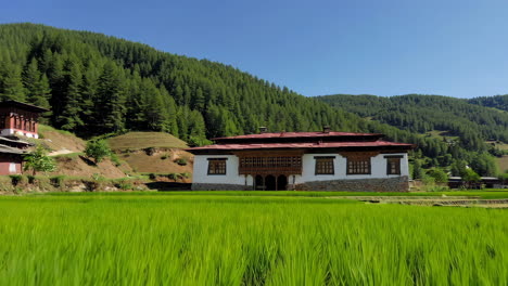 traditional bhutanese house in a rice paddy landscape