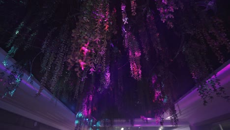 illuminated night wisteria hanging overhead