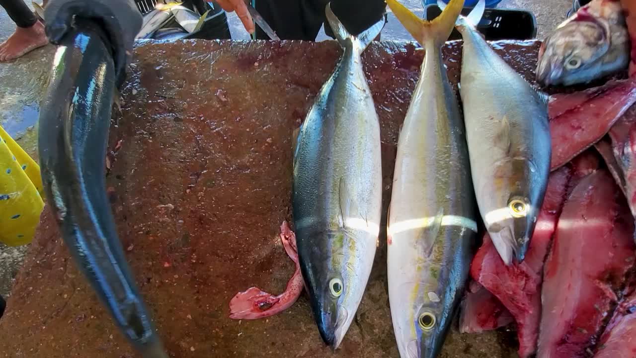 las manos del hombre limpias y cortadas frescos peces corredor del arco iris en la mesa del mercado de pescado del caribe