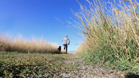 Australian-Shepherd-Running-Away-in-a-Field-4K