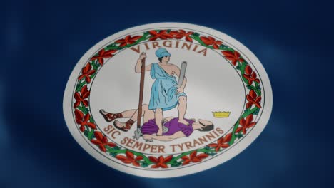bandera de virginia, movimiento lento ondeando