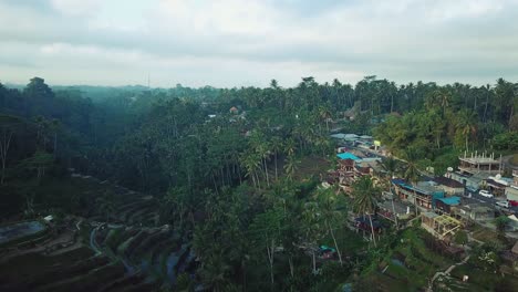 drone shot flying over the tegalalang rice terraces in bali, indonesia on a beautiful sunny morning