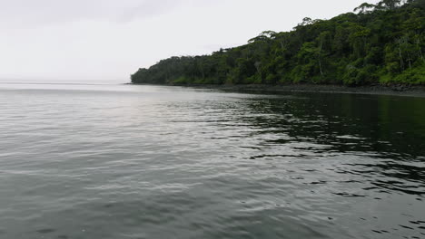 Sea-of-Gorgona-island