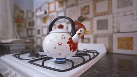 boiling water on a chicken-shaped kettle over a stovetop, a charming culinary process to heat water for various purposes