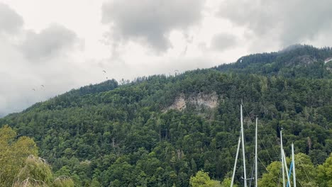 active recreation and extreme sport, group of people paragliding in mountains