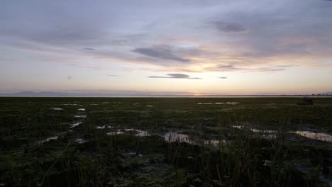 camera tracks forward towards marshy beach at sunset