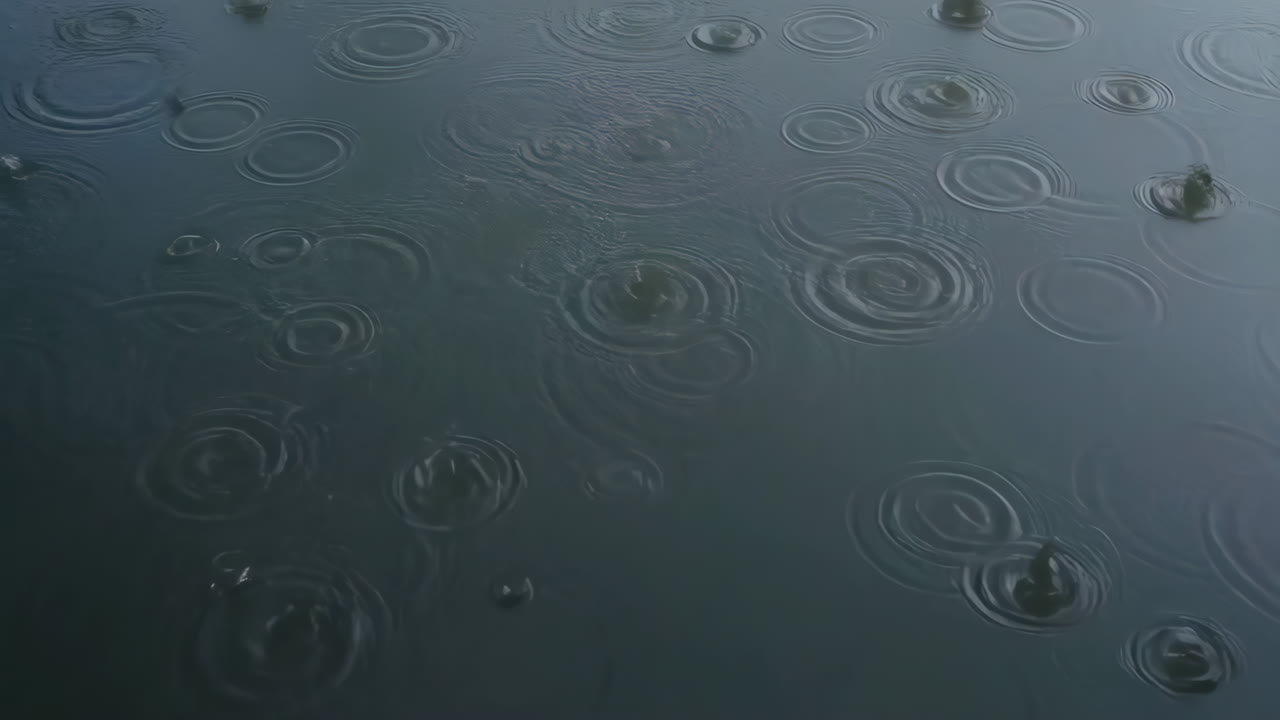 Raindrops Falling on Water Surface Creating Ripples