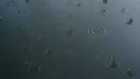 raindrops falling on water surface creating ripples