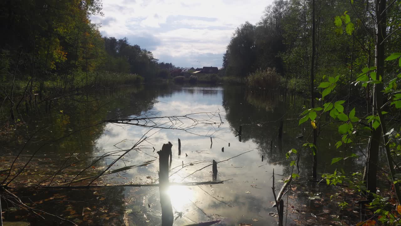 Autumn sunrise reflection on calm pond amid forest foliage