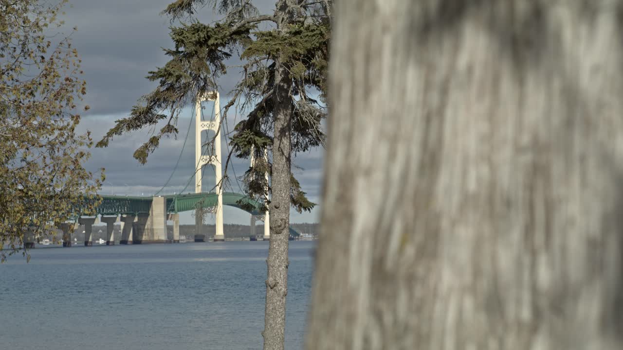 미시간 주 매키나우시티에 있는 매키나크 다리 (mackinac bridge) 앞면에는 소나무가 있고, 배경에는 트럭이 움직이고 있는 다리가 있다.
