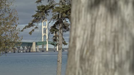 mackinac bridge in mackinaw city, michigan with pine trees in foreground and bridge in background with trucking shot moving in