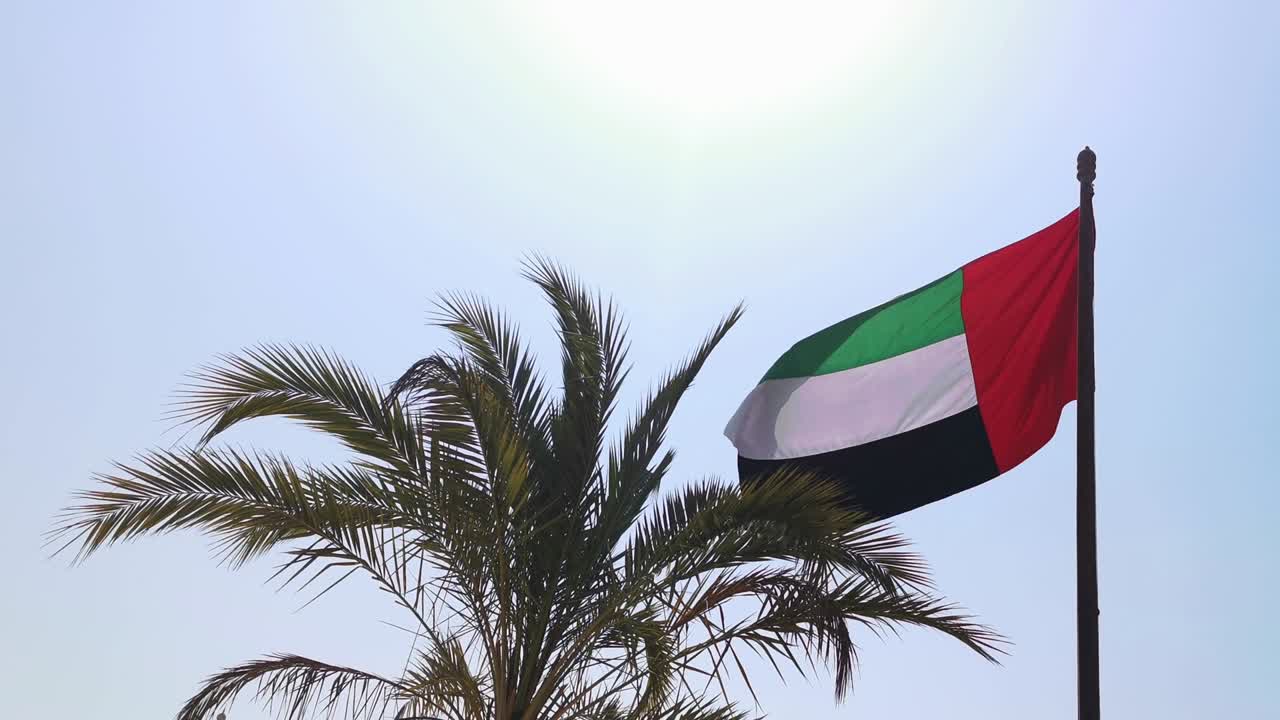 bandera nacional de las eau y palma de dátiles contra un fondo de cielo azul.
