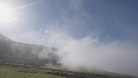 Morgens-Liegt-Nebel-über-Einem-Feld