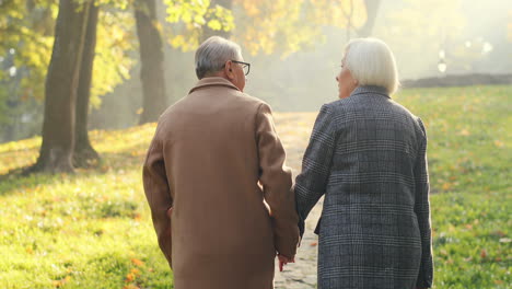 rear view of elderly man and woman walking together on the park path and helderlying each other at sunset in autumn 1