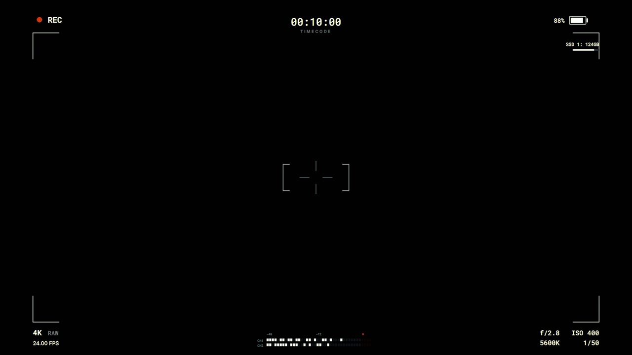 Digital Camera Viewfinder Interface with Recording Overlay