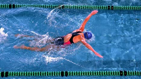 Colocar-Nadadora-Haciendo-El-Estilo-Mariposa-En-La-Piscina.