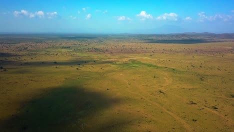 Aerial view capturing the expansive plains of Kidepo National Park, Uganda, showcasing diverse wildlife and natural landscapes under a clear blue sky, with distant mountains on the horizon, drone shot