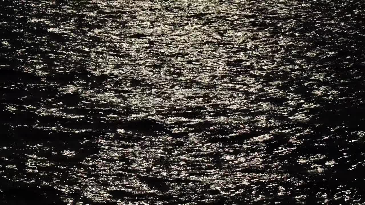 달빛이 어두운 물에서 반사됩니다.