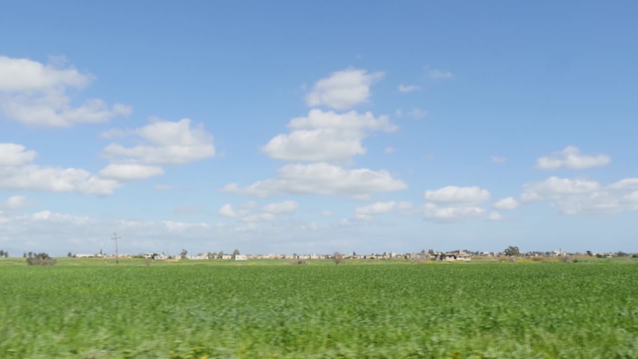 여름에 시골길을 운전하는 동안 시골 농경이 속도를 내면서 움직이는 자동차의 측면 창을 통해 봅니다.