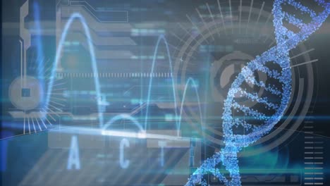 Animation-Des-Spinnens-Von-DNA-Strängen-Und-Der-Datenverarbeitung