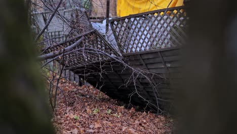 storm-damaged fence lies broken under bare trees on leafy ground in latvia
