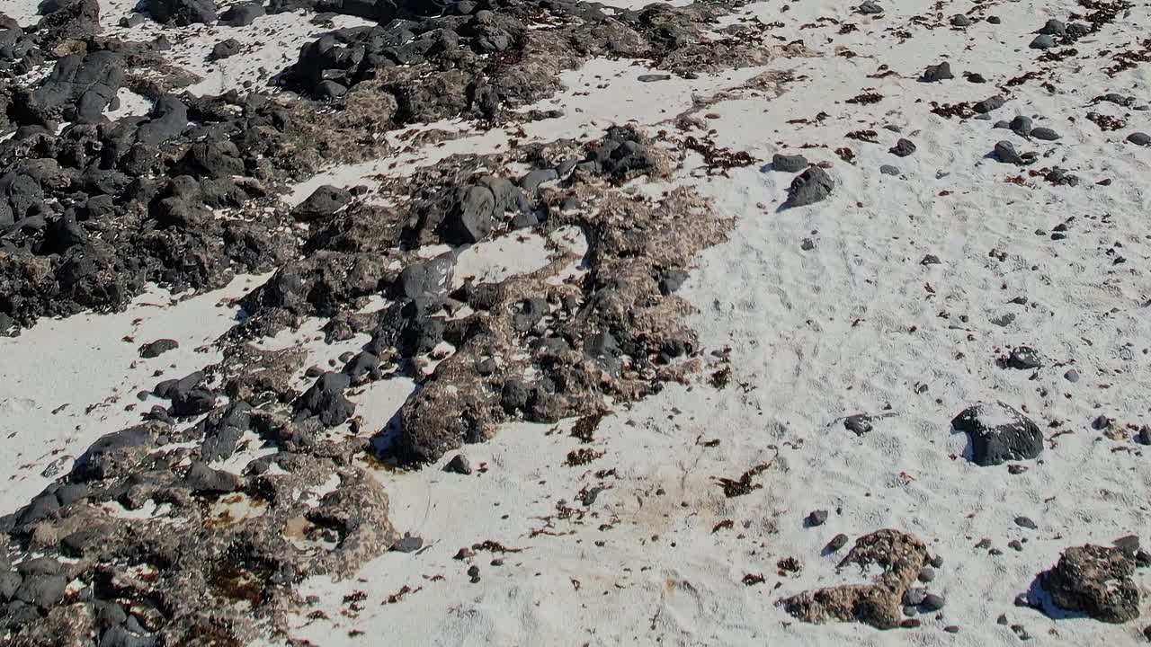 Footprints on sandy beach in Canary Islands during sunny day