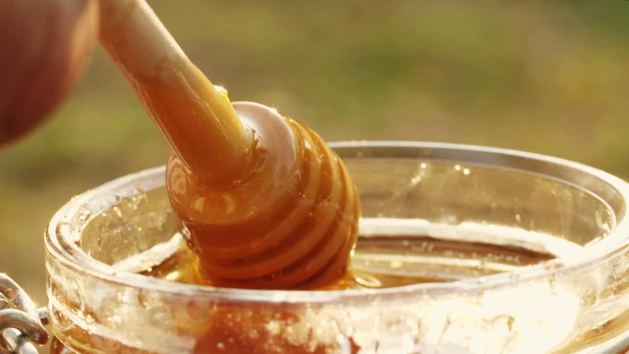 Honey Dipper with Honey Dripping and a Bee