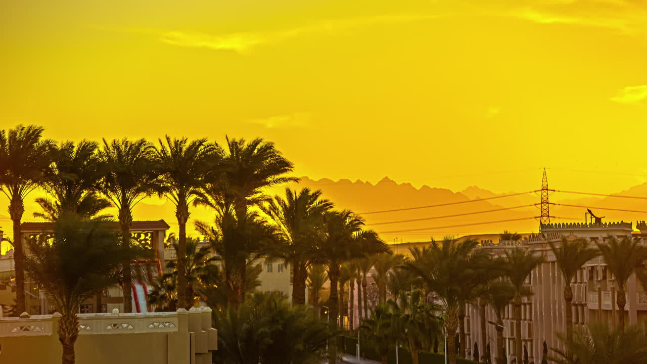 Exotic resort with palm trees on golden yellow sky, fusion time lapse