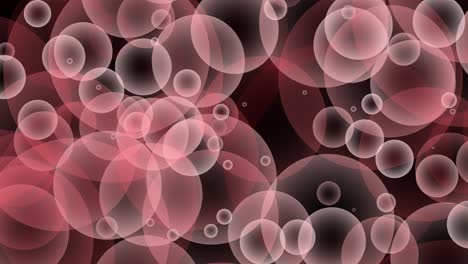 pink red burgundy gray seamless rising bubbles floating and slow moving loop particle bubble animation black background.