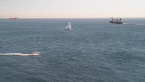 heavy ship traffic near coastline of spain, time lapse view