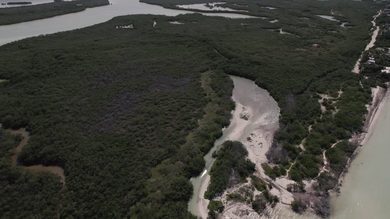 vista aérea del campo exuberante y el lago de bacalar en méxico - disparo de drones