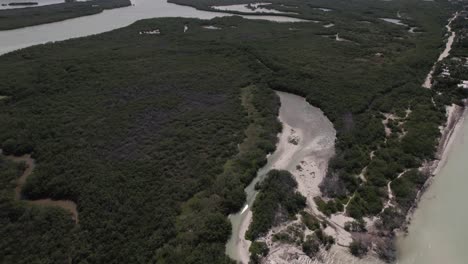 Aerial-View-Of-Lush-Field-And-Lake-Of-Bacalar-In-Mexico---drone-shot