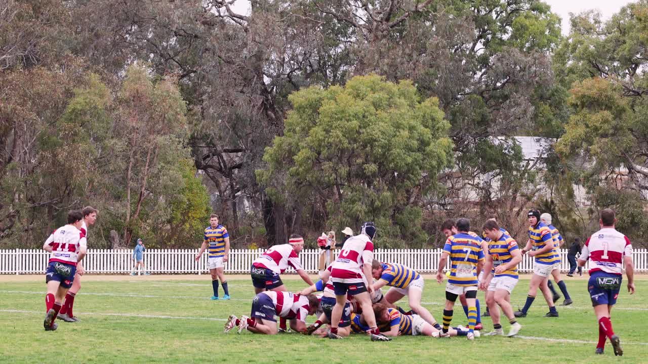팀워크와 전략을 보여주는 역동적인 럭비 게임