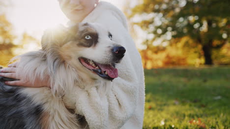 a ten-year-old girl is resting in a park with her dog. sit on the green grass in the rays of the setting sun