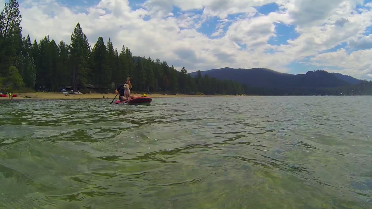 un hombre y un perro remando en el lago tahoe 1