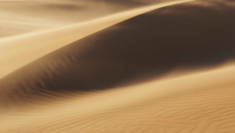 wind-swept sand dune in the desert